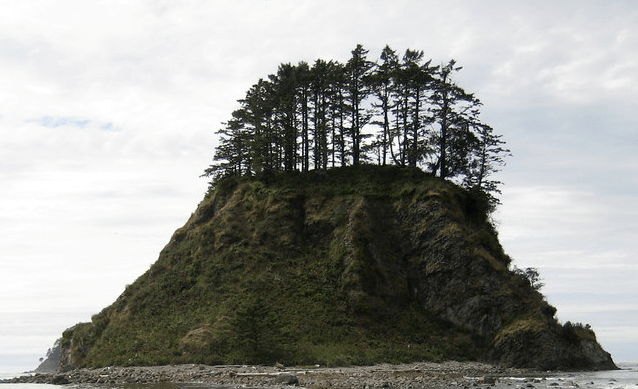 Cape Alava Loop trail